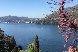 Torno Apartment | Red Carpet B&B- Lake Como Italy