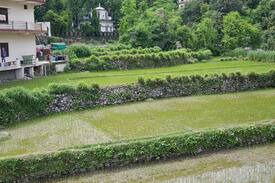 Tapovan Hostel | Rishikesh party backpackers hostel