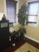 Vaughan House | 1 bedroom across from Canada's Wonderland