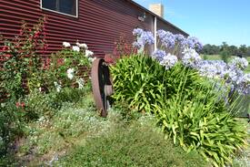 Tostaree Cabin | Relaxing stay on a working farm - Stockmans