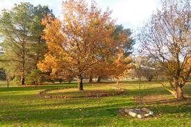 Campbells Creek House | Whispering Oaks Cottage