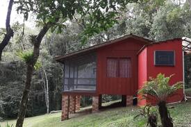 Piraquara Other | Secret Forest Hideaway for Secluded COVID Retreat