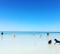 Minlacowie House | Harry's @ Hardwicke - Rare Absolute Beachfront!
