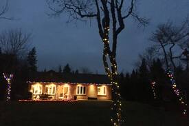 Halifax County Cabin | 2 bedrooms available at log house on Moody Lake.