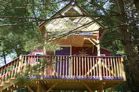 Rogers Other | The Tree House at Underhill Hollow