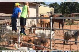 Duncan Other | Shady Oaks Farm