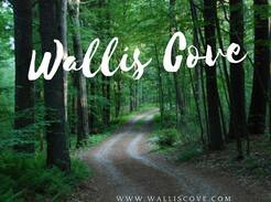 Douglas Cabin | Wallis Cove Cabins