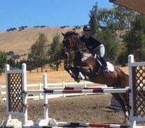Soquel Other | Willow Pond Ranch