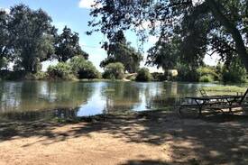 Hanford Other | NO SMOKERS Tent camping at it's best #3