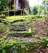 San Gerardo de Dota Cabin | The Unicorn Lodge