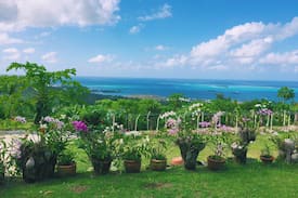 Capital Hill House | American Paradise House (Unit #1)