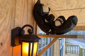 Ozone Cabin | Lazy Bear Cottage