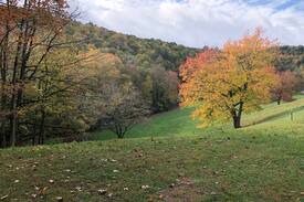 Blowing Rock Cabin | Deer View Cottage
