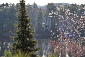 Madawaska Valley Other | Sleep inside a UFO