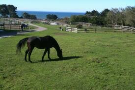 Pescadero Other | Breakaway Farm B&B