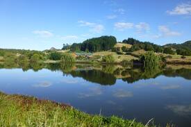 Kaiwaka House | Ducks Paradise