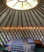 Thornton Other | Sapling Yurt