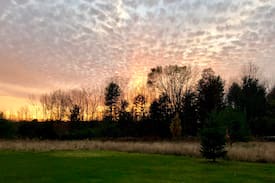 Hammondsport Cabin | Wildlife Ridge cabin near Keuka&Seneca w/amenities