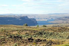 Quincy House | Luxury cabin at Gorge Amphitheatre & Cave B Winery