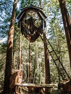 Felton Other | The Pinecone Treehouse
