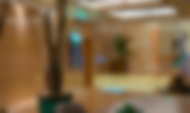 Tarpon Springs House | The Hibiscus House