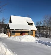 Mancelona Cabin | Maple Ridge Cabins - Maple View