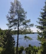 Tobermory Cabin | Hay Bay Retreat