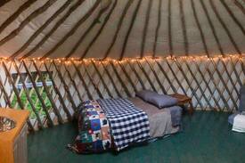 Thornton Other | Sapling Yurt