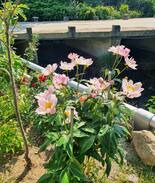 Namyangju House | 남양주 진접,포천 인근 아늑한 독채 시골집