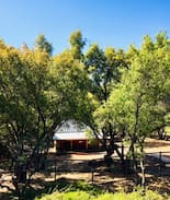 Phoenix Lake-Cedar Ridge House | Apple Valley Cabin
