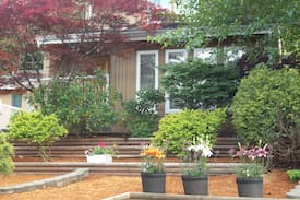 Port Hardy Apartment | Backwoods Cottage