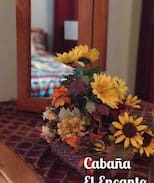 Ruidoso Cabin | CABAÑA EL ENCANTÓ