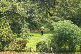 Pali Other | Didi's Farmhouse near adlabs imagica / Pali hwy