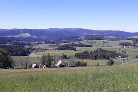 Breitnau Apartment | Ferienwohnung Sattlerhäusle mit Feldbergblick