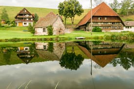 Hornberg House | Ferienwohnung im Schwarzwald "Weiherblick"