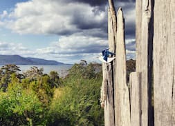 South Bruny House | 'Seabirds', private waterfront location