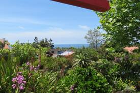 Candelaria House | Hortensie / Floramar