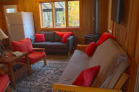 Marshall Cabin | Ivy Bluffs Retreat- Secluded Cabin Close to Town