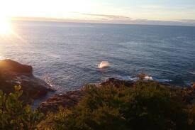 Bermagui Apartment | BLUE POINT COTTAGE NO 1 BERMAGUI