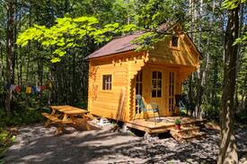 Moncton Cabin | Private cabin in the woods
