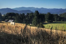 Crawfordsville Other | Calapooia River Ranch Guest House: Brownsville, OR