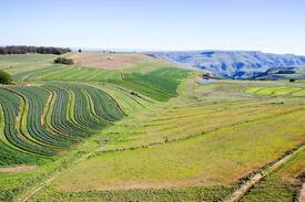 Thaba Chweu Villa | Mistyridge Guesthouse