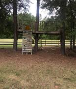 Kannapolis Cabin | Cabin in the woods with stocked pond