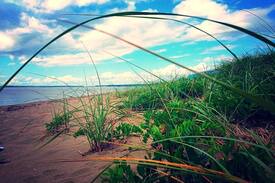 Acadian Coastal Drive Cabin | Willow Cottage - Oak Point, NB