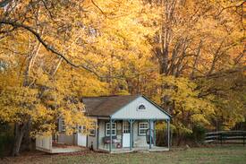 Waxhaw Other | Fox Farms Little House