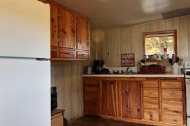 Cougar Other | The Crooked Cabin