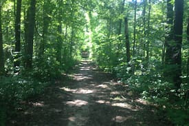Washtenaw County Cabin | Hanuman's Cabin on the Path