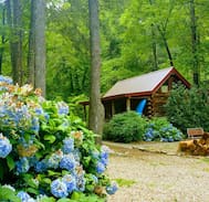 Rocky Bottom House | Mountain Cabin on Creek at Jocassee Gorge.