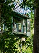 Montville House | Montville Fig Tree Villa