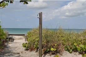 Englewood House | Blue Dolphin on the beach! Sharks teeth, Shells!
